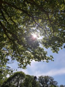 baumhaus urlaub blick