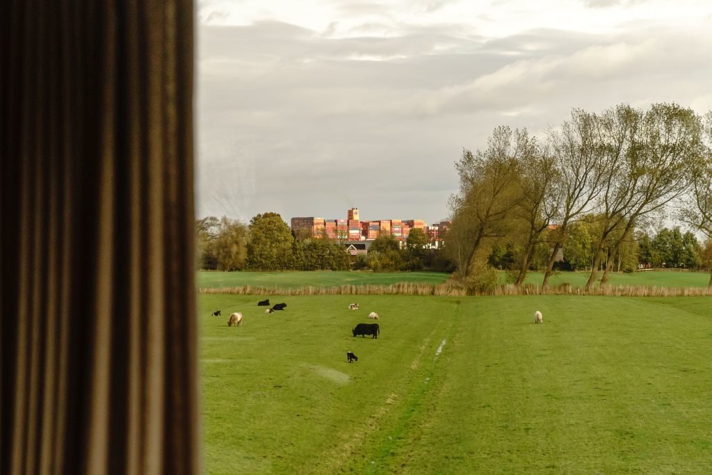 baumhaushotel deutschland blick auf weide deich