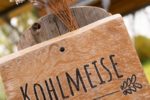 baumhaus-kohlmeise