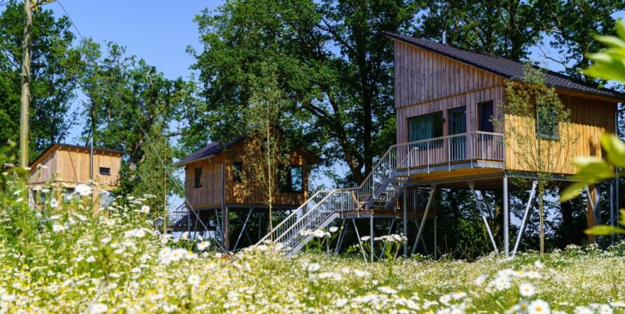 baumhaushotel-deutschland-baumhäuser
