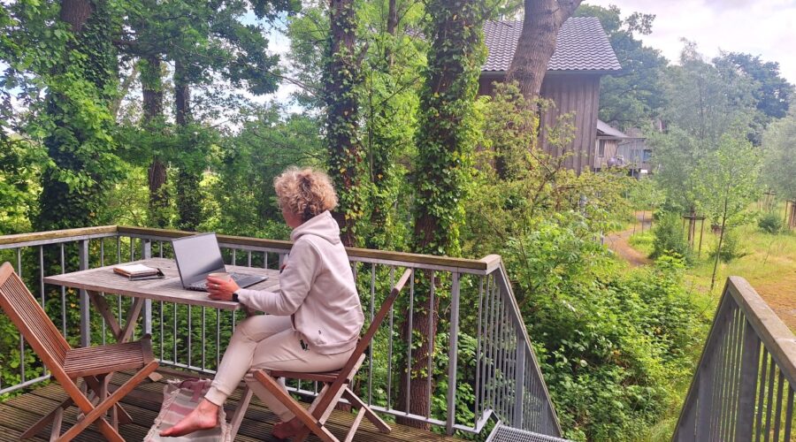 konzentriert arbeiten, umgeben von grünen Blättern – Workation inmitten der Natur an der Nordsee