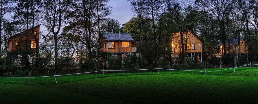 Blick auf das Baumhaushotel in Otterndorf