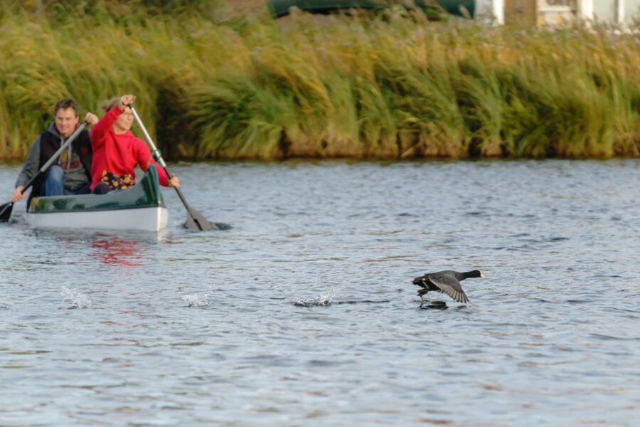 baumhaushote-social-media-kanu