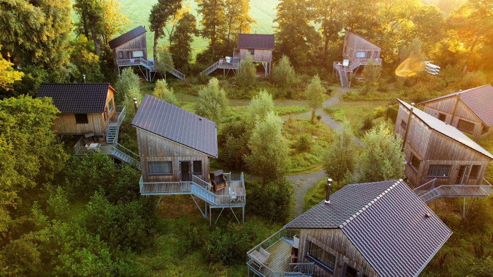 Baumhaushotel mit Hund